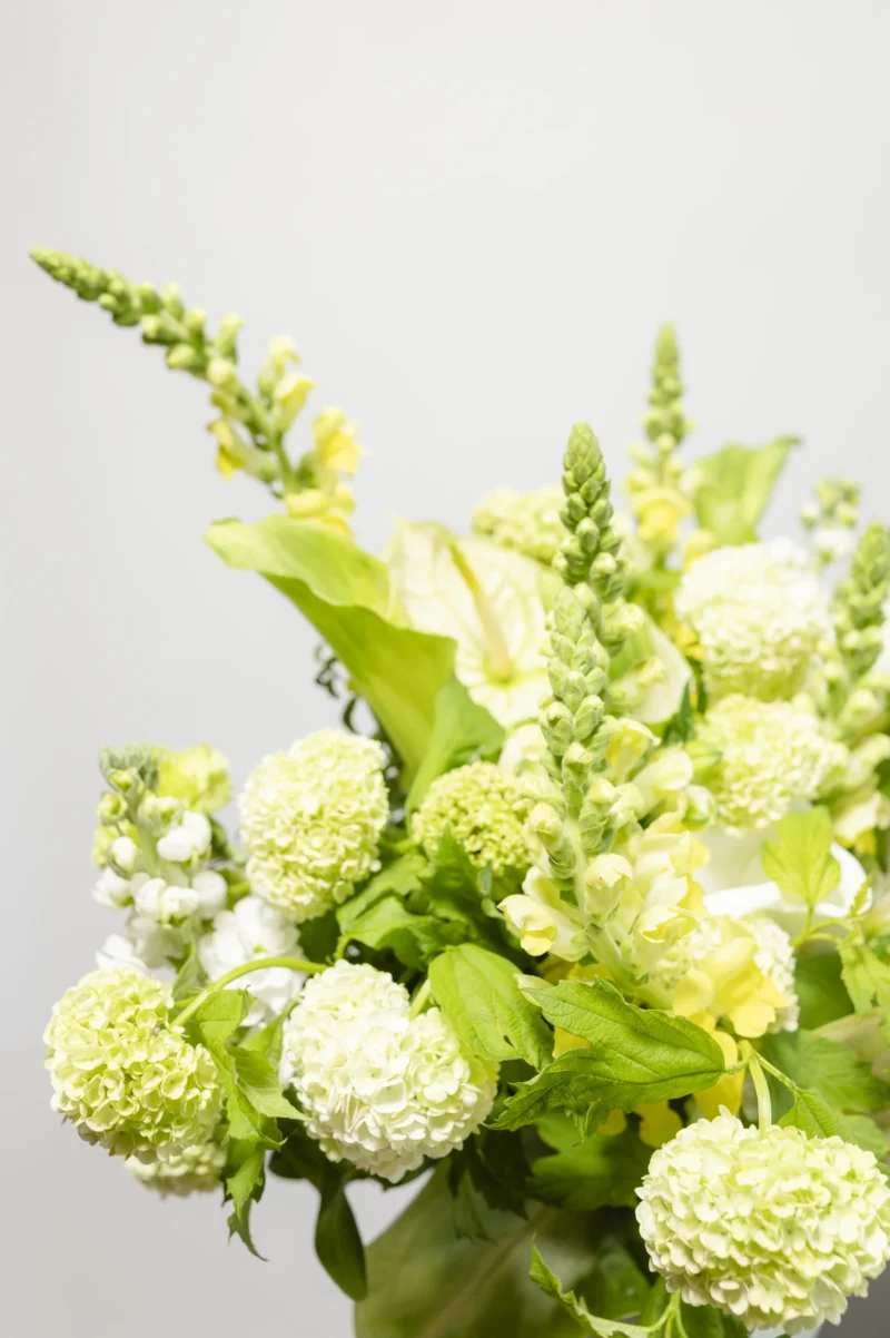 Happy Flowers Eppendorf