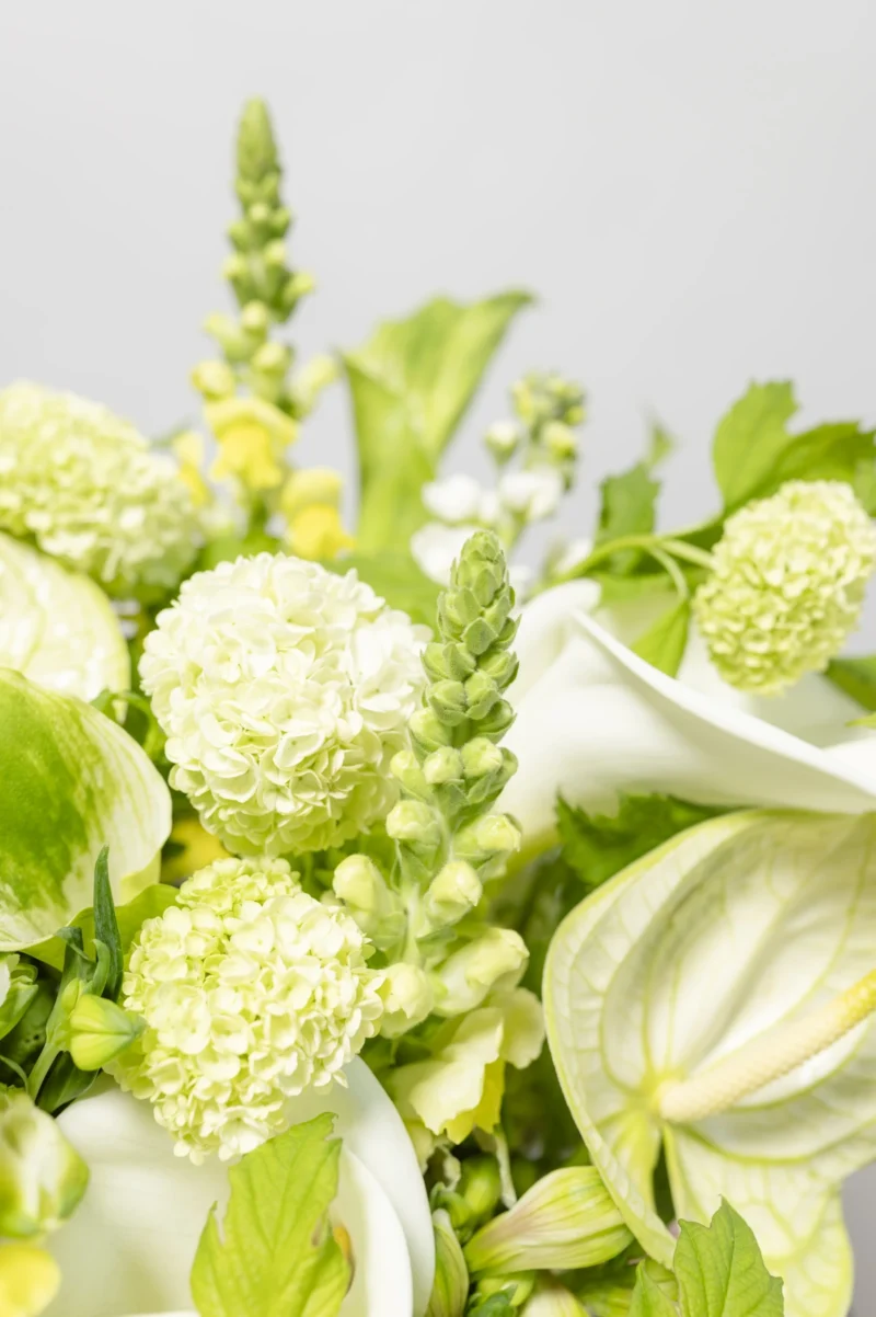 Happy Flowers Eppendorf