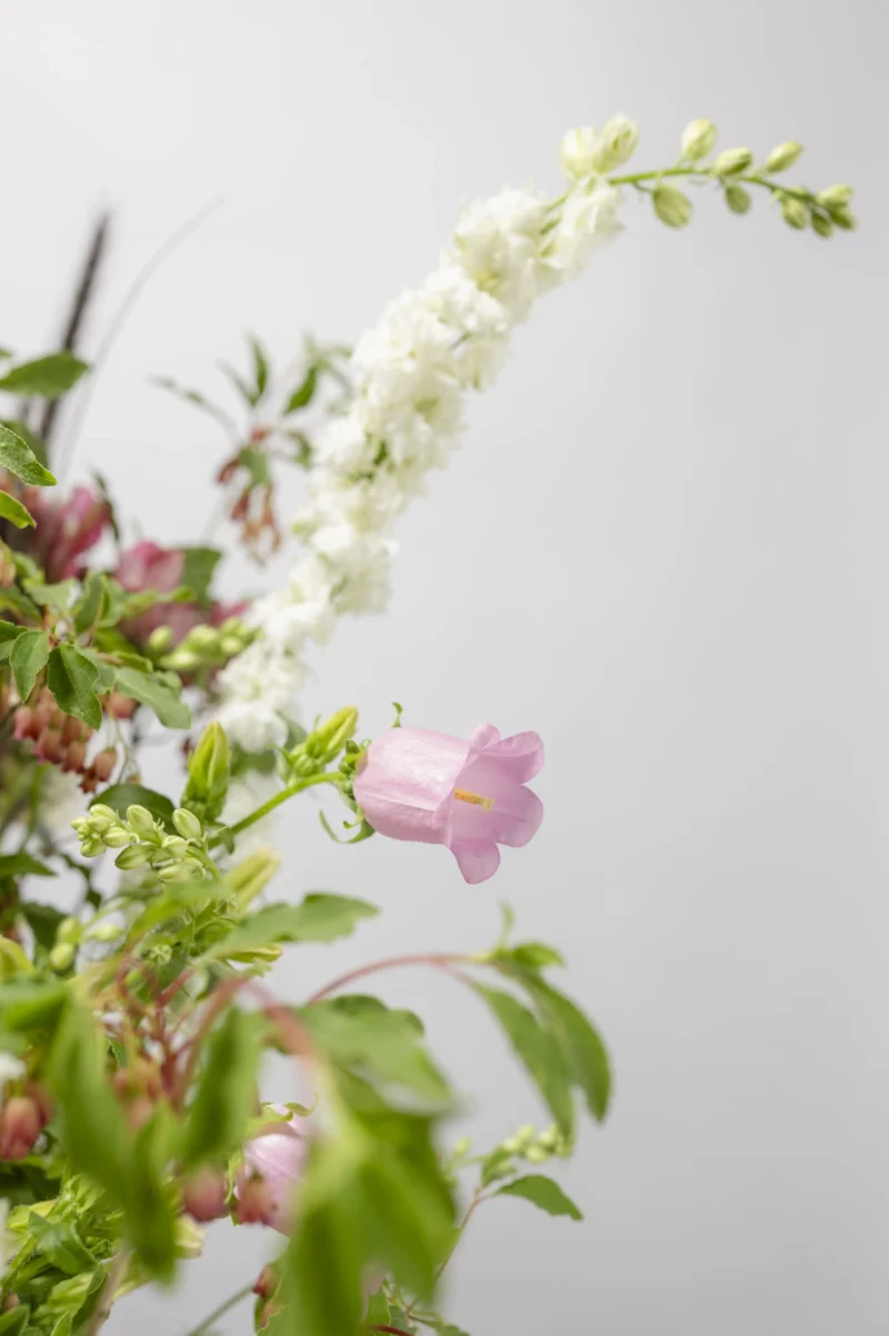 Happy Flowers Eppendorf
