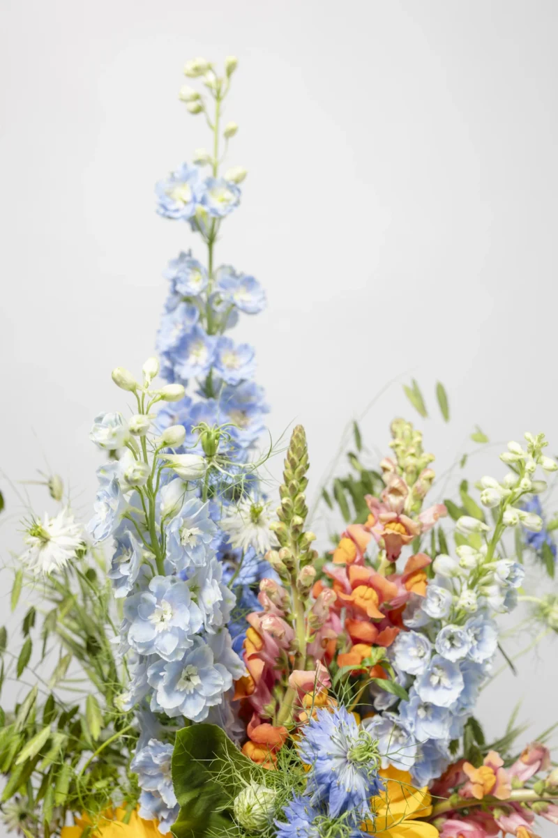 Happy Flowers Eppendorf