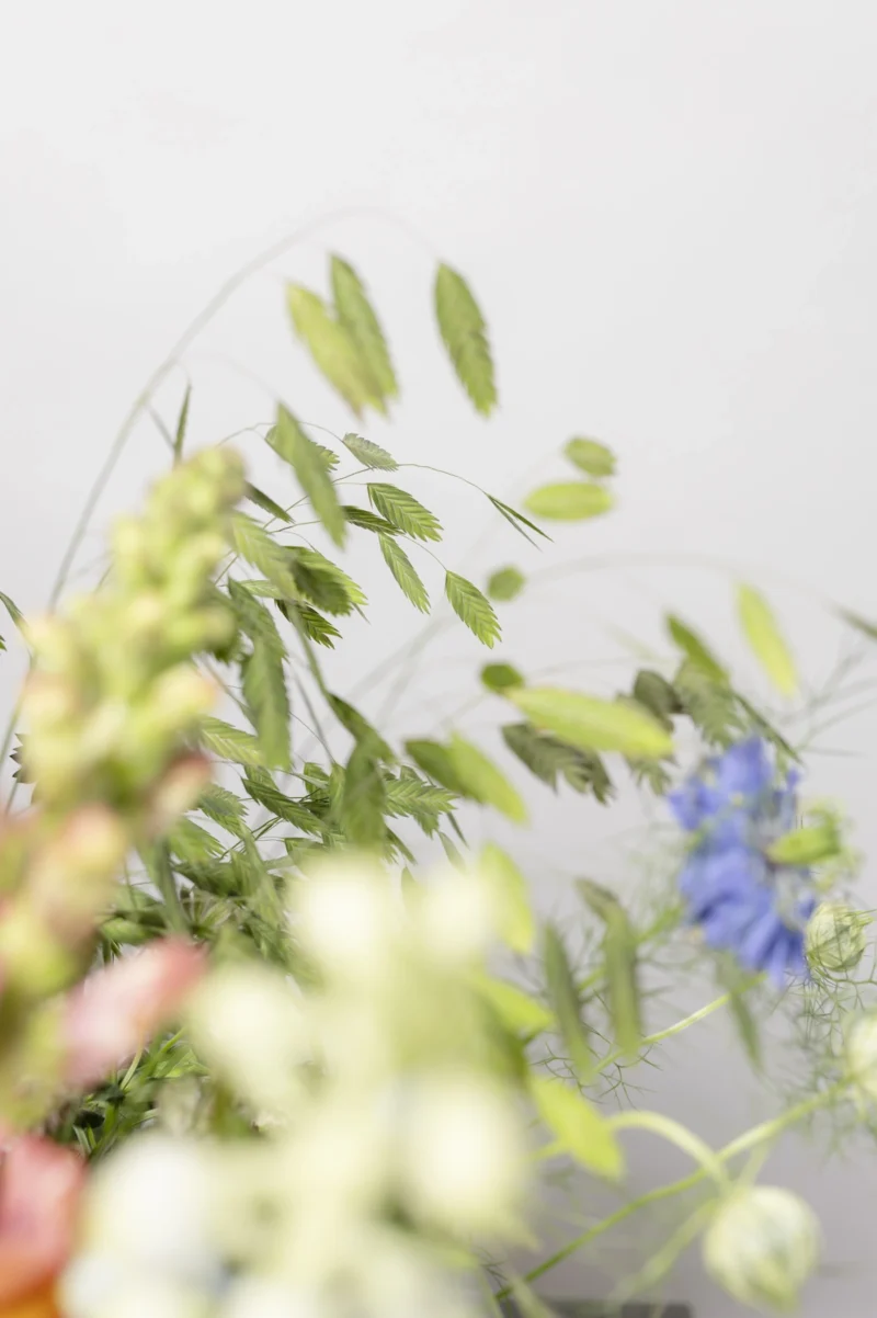 Happy Flowers Eppendorf